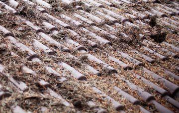 Wollerton Wood roof cleaning companies